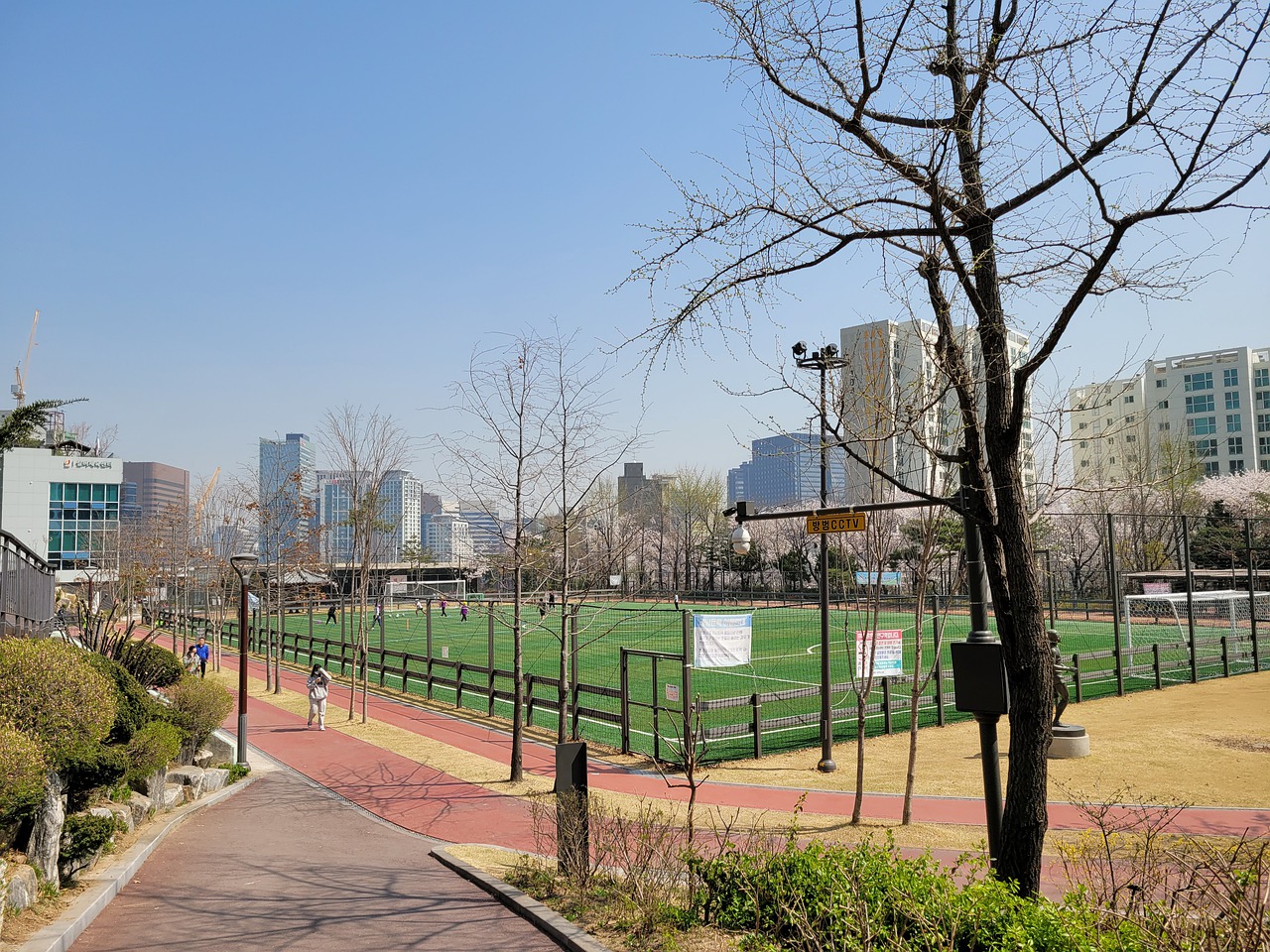 欧冠半场：里奥斯乱战破门，本菲卡暂1-0那不勒斯